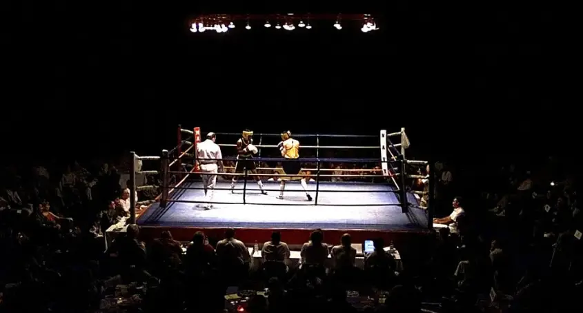Boxing Insurance: Protecting Fighters, Promoters, and the Sweet Science